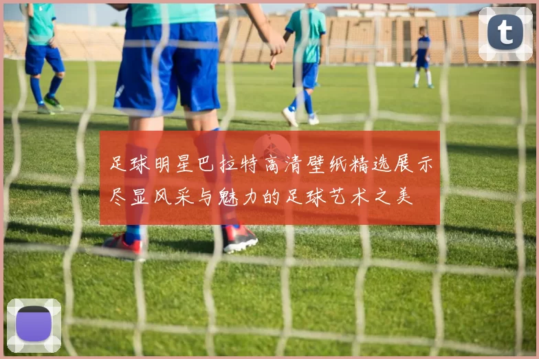 足球明星巴拉特高清壁纸精选展示尽显风采与魅力的足球艺术之美