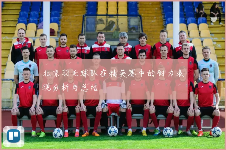 北京羽毛球队在精英赛中的耐力表现分析与总结