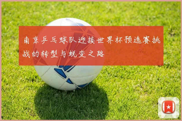 南京乒乓球队迎接世界杯预选赛挑战的转型与蜕变之路