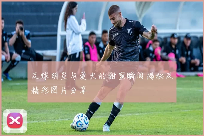 足球明星与爱犬的甜蜜瞬间揭秘及精彩图片分享