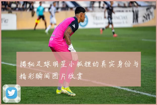 揭秘足球明星小狐狸的真实身份与精彩瞬间图片欣赏