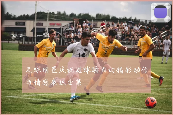 足球明星庆祝进球瞬间的精彩动作与情感表达合集