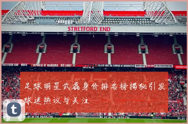 足球明星武磊身价排名榜揭秘引发球迷热议与关注