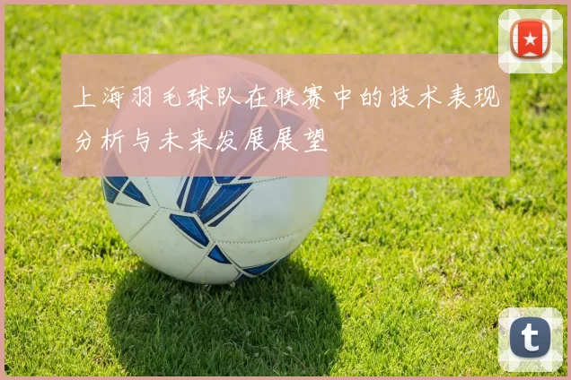 上海羽毛球队在联赛中的技术表现分析与未来发展展望