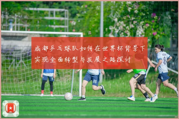成都乒乓球队如何在世界杯背景下实现全面转型与发展之路探讨