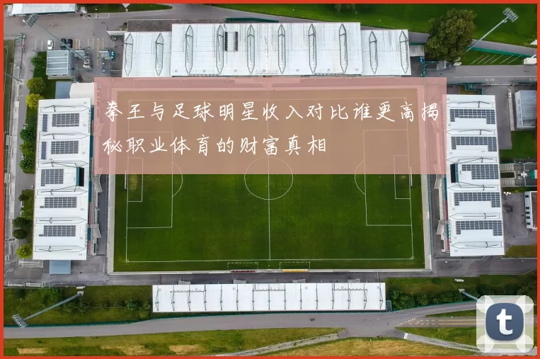 拳王与足球明星收入对比谁更高揭秘职业体育的财富真相