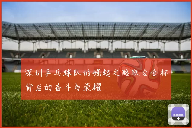 深圳乒乓球队的崛起之路联合会杯背后的奋斗与荣耀
