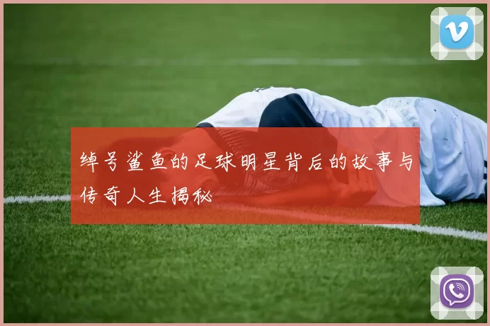 绰号鲨鱼的足球明星背后的故事与传奇人生揭秘
