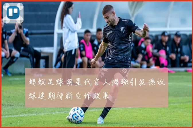 蚂蚁足球明星代言人揭晓引发热议球迷期待新合作效果